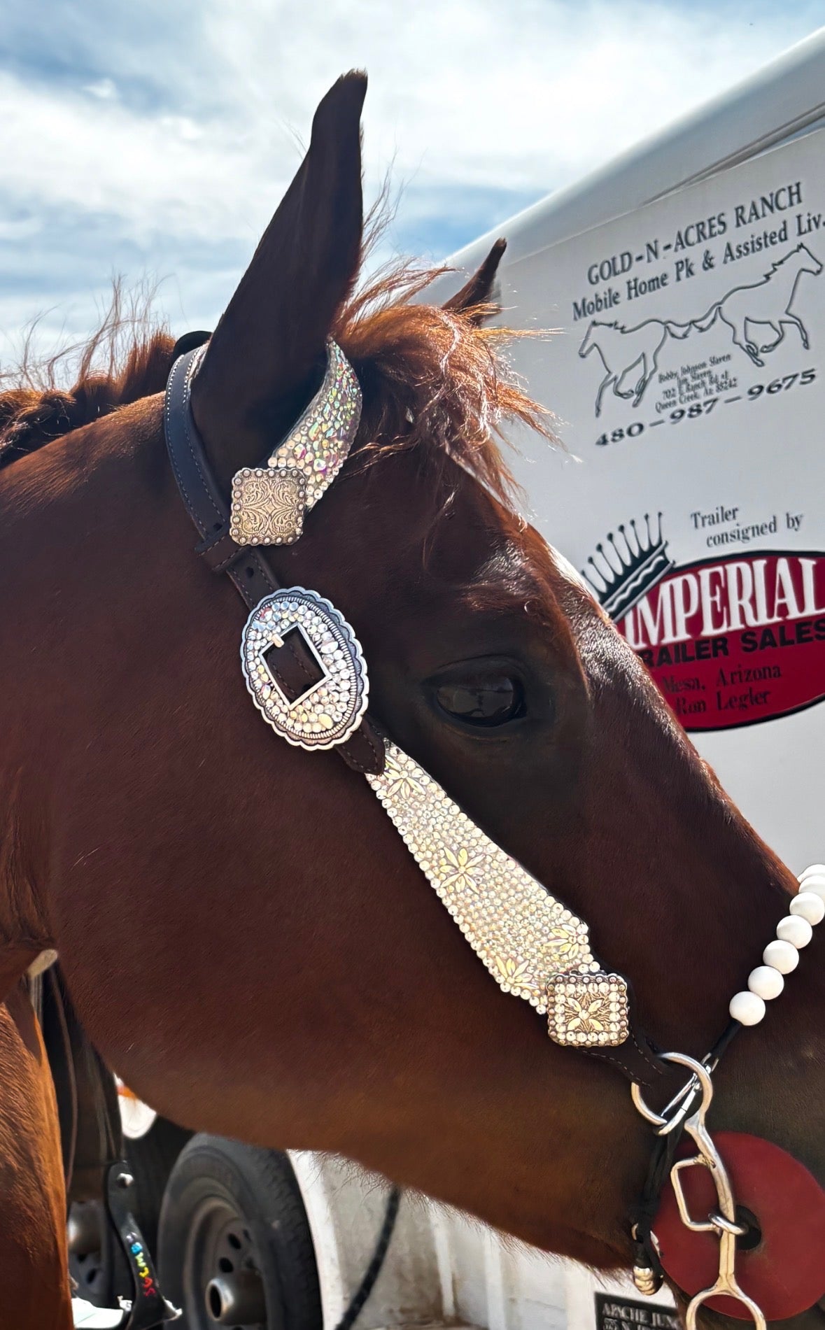 “The Ruby” Headstall - PRE ORDER