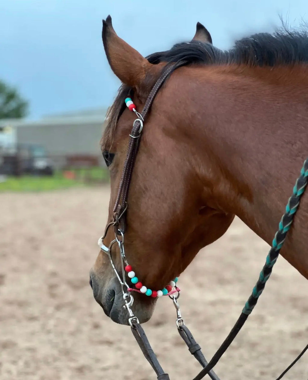 EquiCurve™ Ear Pieces/Browband